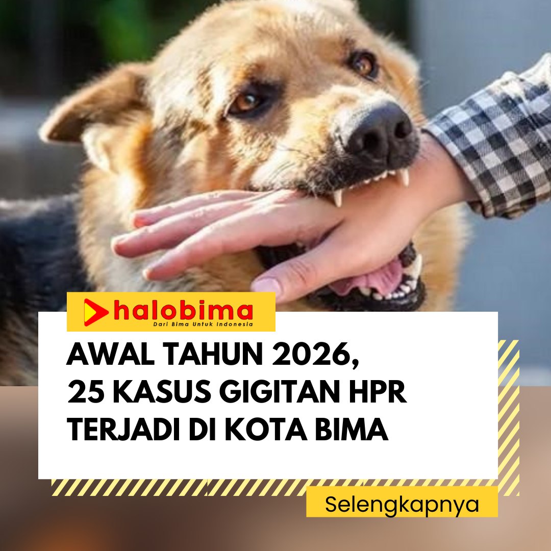 Awal Tahun 2026, 25 Kasus Gigitan HPR Terjadi di Kota Bima