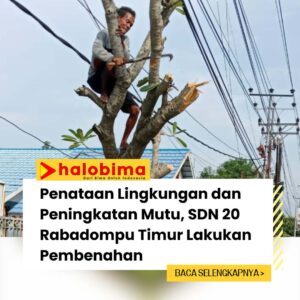 Penataan Lingkungan dan Peningkatan Mutu, SDN 20 Rabadompu Timur Lakukan Pembenahan