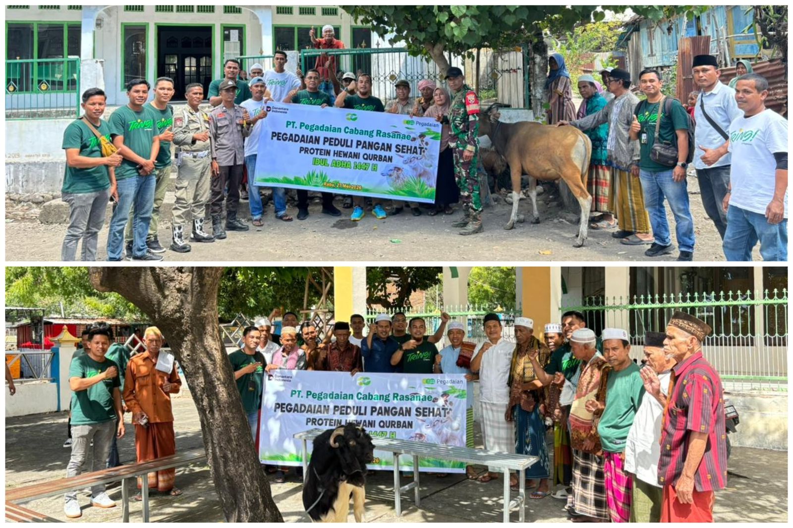 Idul Adha 1447 H, Pegadaian Rasanae Salurkan Sapi dan Kambing untuk Warga Bima